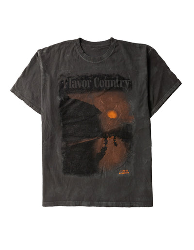 Flavor Country Lost and Won - Tee (Vintage Black) - RIPNRPR